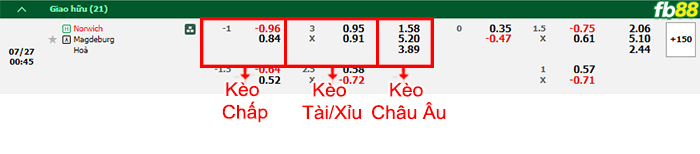 Fb88 bảng kèo trận đấu Norwich City vs Magdeburg