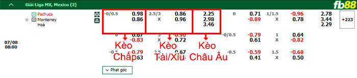 Fb88 bảng kèo trận đấu Pachuca vs Monterrey
