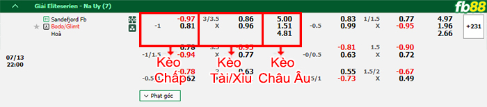 Fb88 bảng kèo trận đấu Sandefjord vs Bodo Glimt