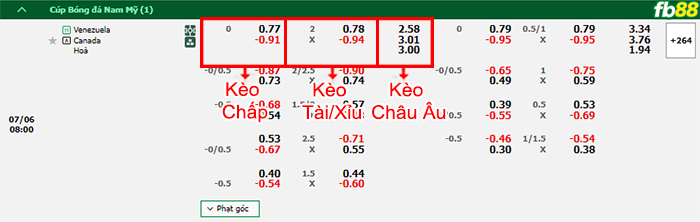 Fb88 bảng kèo trận đấu Venezuela vs Canada