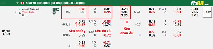 fb88-bảng kèo trận đấu Avispa Fukuoka vs Vissel Kobe