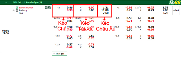 Fb88 bảng kèo trận đấu Bayern Munich vs Freiburg