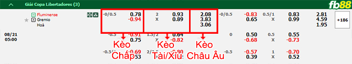 Fb88 bảng kèo trận đấu Fluminense vs Gremio