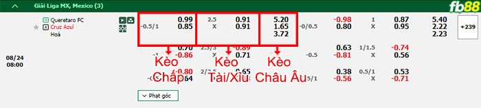 Fb88 bảng kèo trận đấu Queretaro vs Cruz Azul