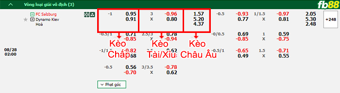 Fb88 bảng kèo trận đấu Salzburg vs Dynamo Kyiv