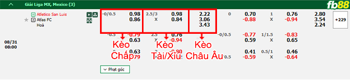 Fb88 bảng kèo trận đấu San Luis vs Atlas