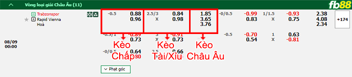 Fb88 bảng kèo trận đấu Trabzonspor vs Rapid Wien