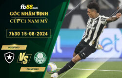 Fb88 soi kèo trận đấu Botafogo vs Palmeiras