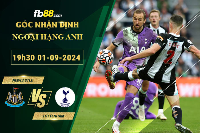 Fb88 soi kèo trận đấu Newcastle vs Tottenham