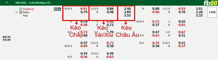 Fb88 bảng kèo trận đấu Augsburg vs Mainz