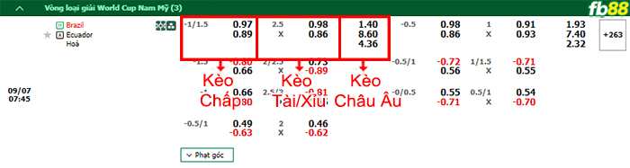 Fb88 bảng kèo trận đấu Brazil vs Ecuador