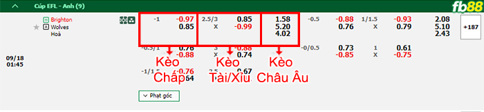 Fb88 bảng kèo trận đấu Brighton vs Wolves