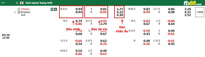 fb88-bảng kèo trận đấu Chelsea vs Brighton