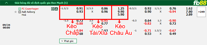 Fb88 bảng kèo trận đấu Copenhagen vs Aalborg BK