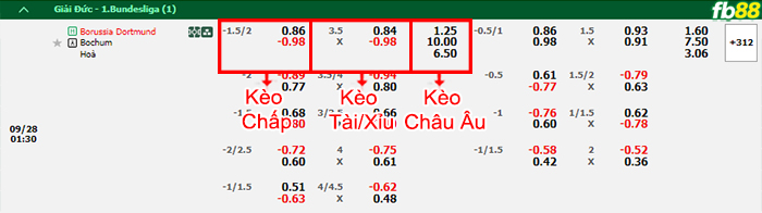 Fb88 bảng kèo trận đấu Dortmund vs Bochum