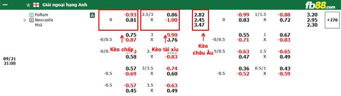 fb88-bảng kèo trận đấu Fulham vs Newcastle