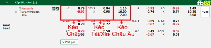 Fb88 bảng kèo trận đấu Newcastle vs AFC Wimbledon