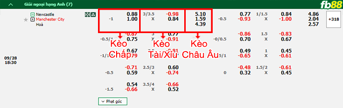 Fb88 bảng kèo trận đấu Newcastle vs Man City