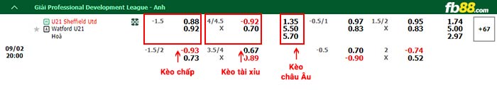 fb88-bảng kèo trận đấu U21 Sheffield United vs U21 Watford