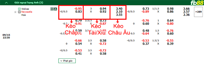 Fb88 bảng kèo trận đấu Wolverhampton vs Newcastle