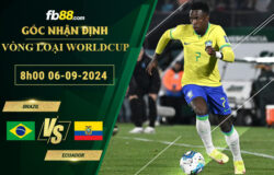 Fb88 soi kèo trận đấu Brazil vs Ecuador