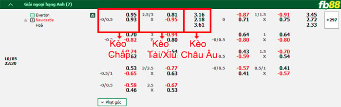 Fb88 bảng kèo trận đấu Everton vs Newcastle