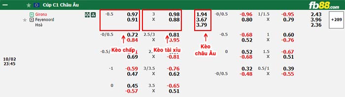 fb88-bảng kèo trận đấu Girona vs Feyenoord