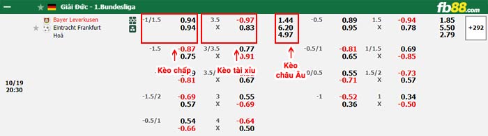 fb88-bảng kèo trận đấu Leverkusen vs Eintracht Frankfurt