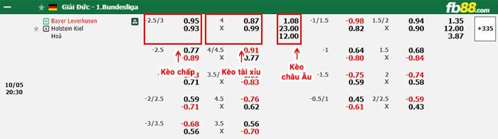 fb88-bảng kèo trận đấu Leverkusen vs Holstein Kiel