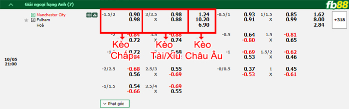 Fb88 bảng kèo trận đấu Man City vs Fulham