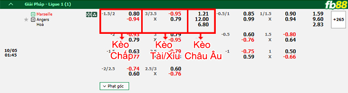 Fb88 bảng kèo trận đấu Marseille vs Angers