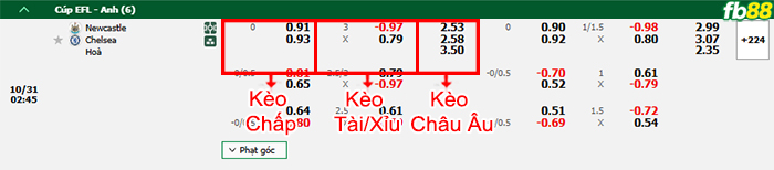 Fb88 bảng kèo trận đấu Newcastle vs Chelsea