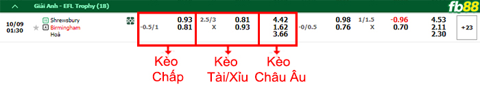 Fb88 bảng kèo trận đấu Shrewsbury Town vs Birmingham