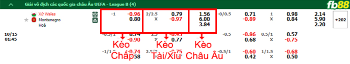 Fb88 bảng kèo trận đấu Wales vs Montenegro