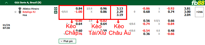 Fb88 bảng kèo trận đấu Atletico Mineiro vs Botafogo