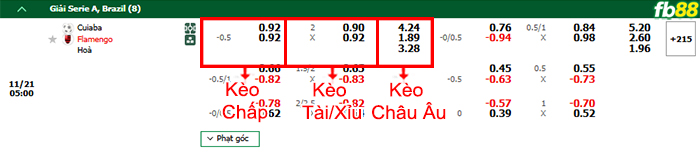 Fb88 bảng kèo trận đấu Cuiaba vs Flamengo