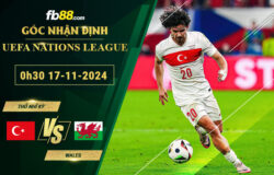 Fb88 soi kèo trận đấu Thổ Nhĩ Kỳ vs Wales